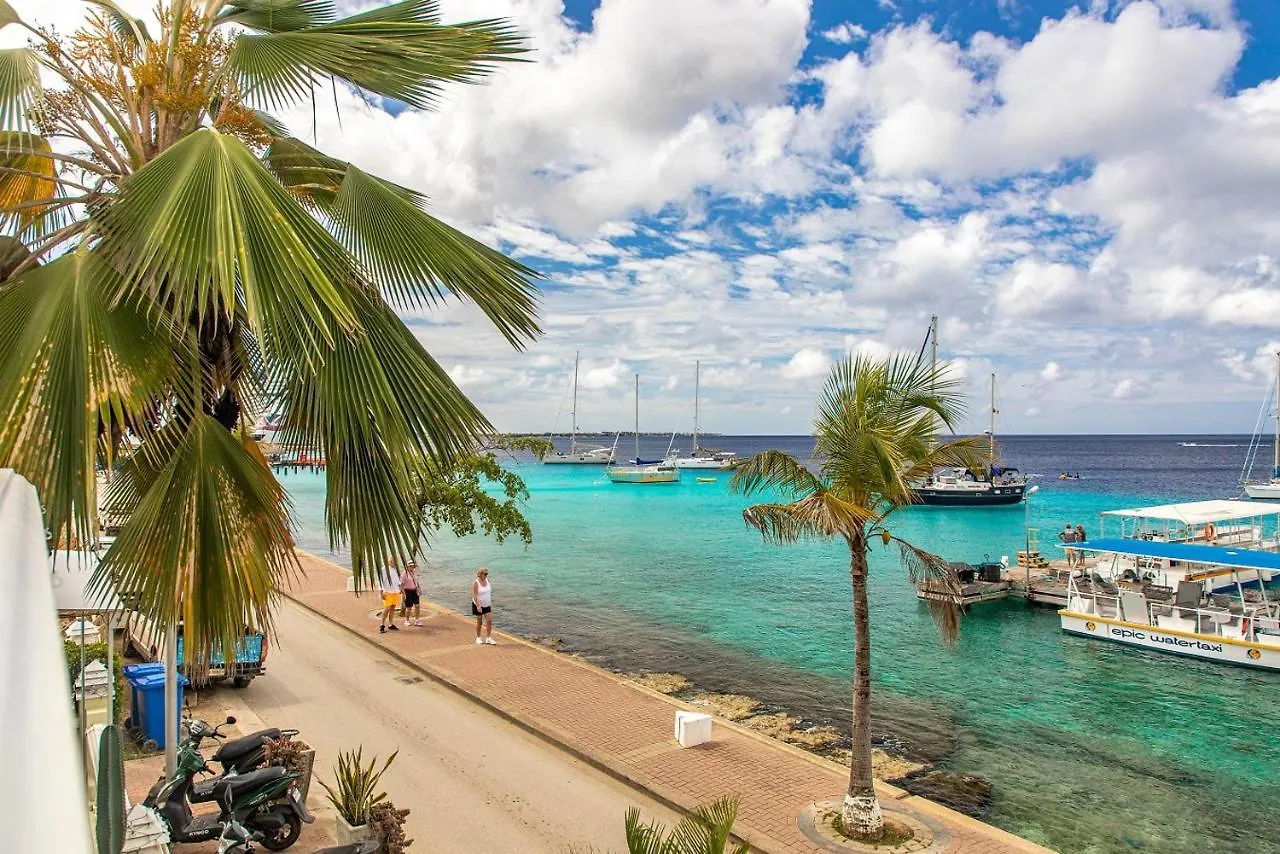 Daire Zen Oceanfront Condo Kralendijk